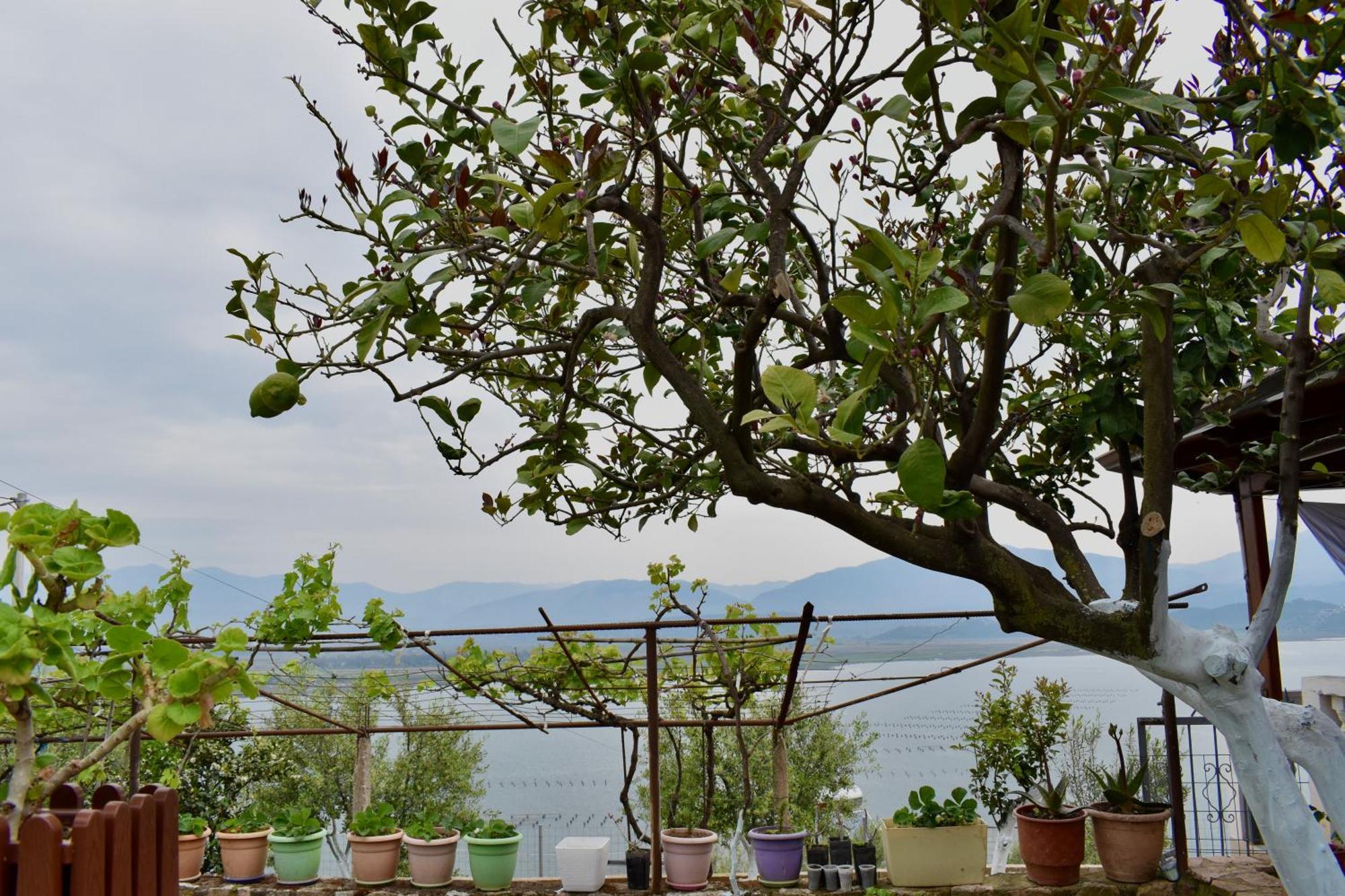 Ksamil Sea&Lake View Escape Ngoại thất bức ảnh